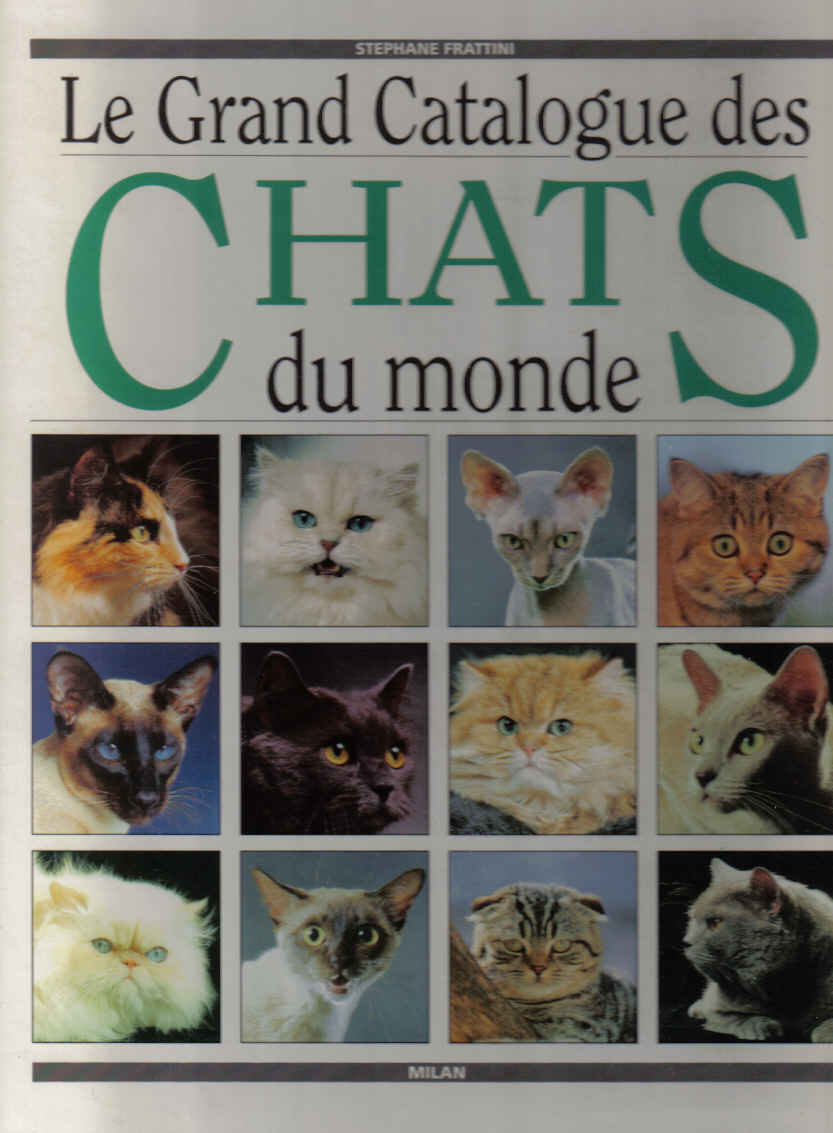 Chats_du_monde